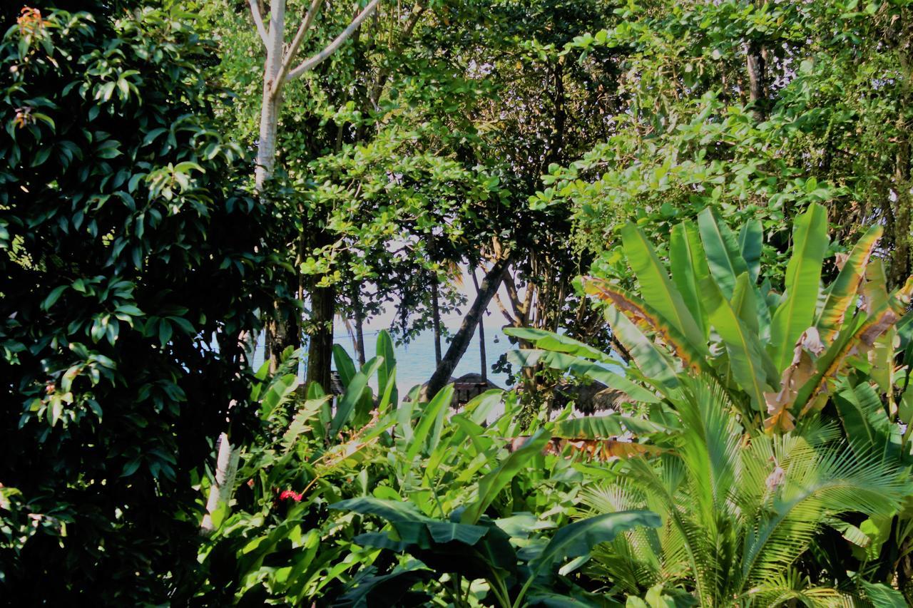 Hotel Casa Natural Puerto Viejo Puerto Viejo de Talamanca Exterior foto